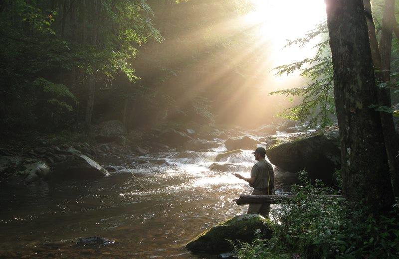 Fishing at Timber Tops Luxury Cabin Rentals.