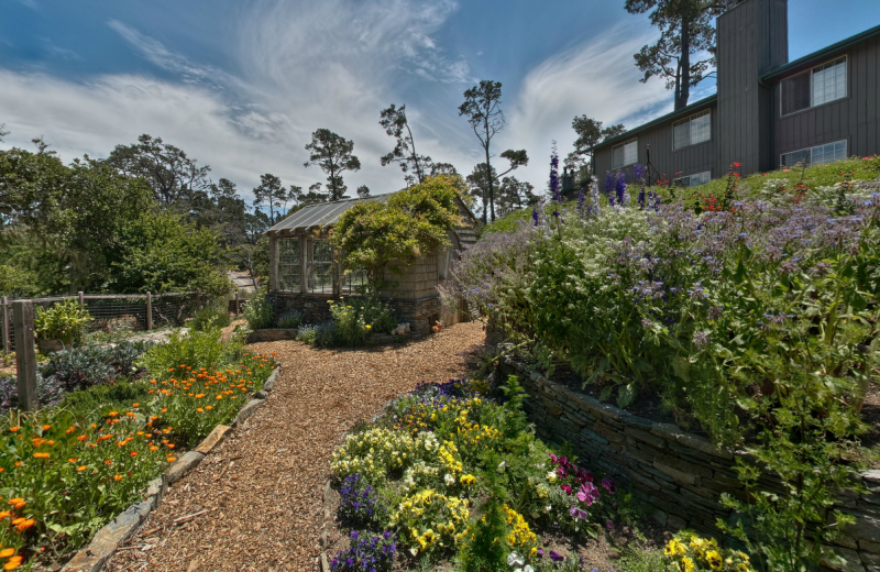 Garden view at Cambria Pines Lodge.