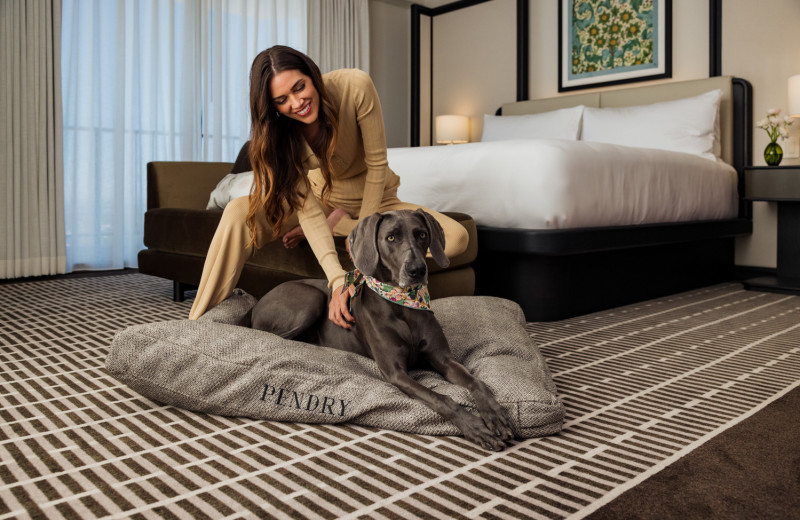 Pets welcome at Pendry Newport Beach.