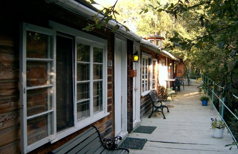 The Cedars at Kramer Pond Lodge.