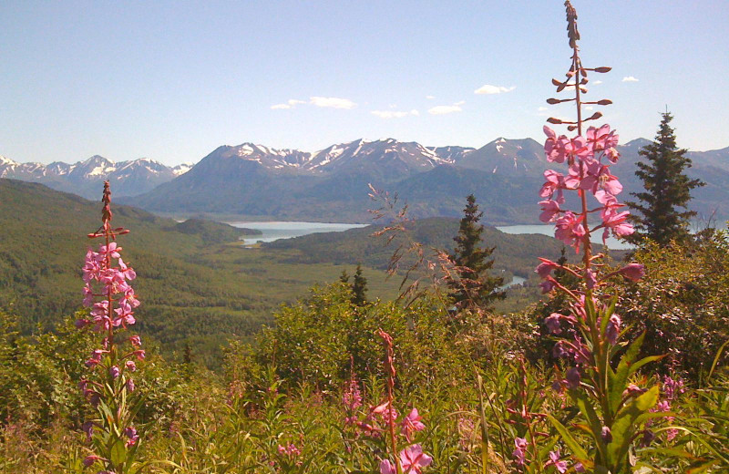 Mountain at Alaska Heavenly Lodge.