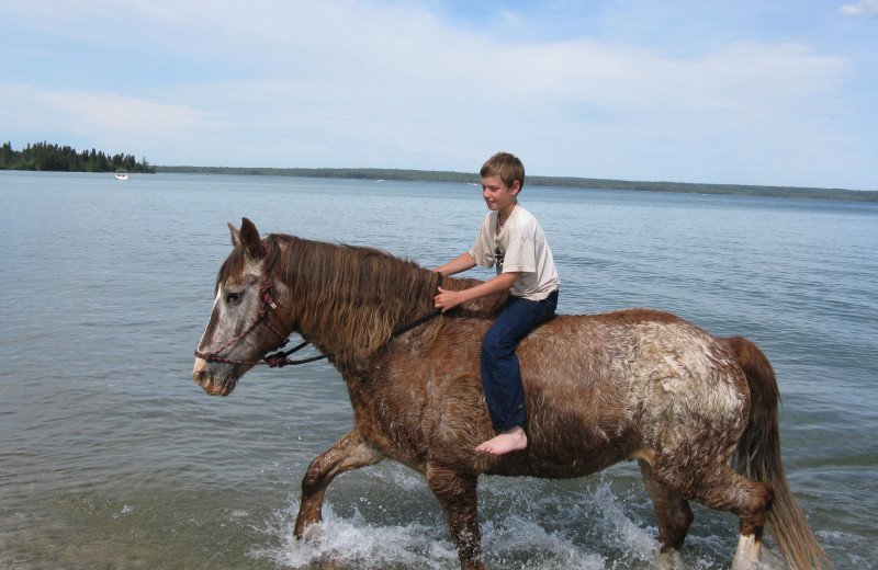 Riding horse in water at Trailhead Ranch.