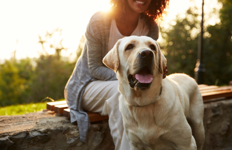 Pets welcome at Adobe Resort.