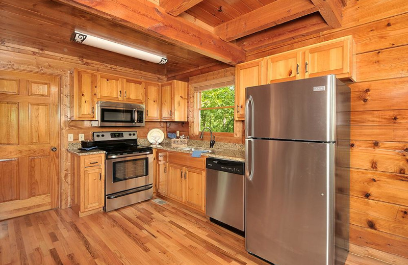 Cabin kitchen at Outrageous Cabins LLC.