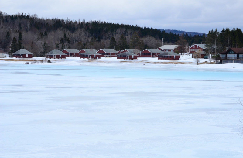 Winter at Jackson's Lodge and Log Cabins.