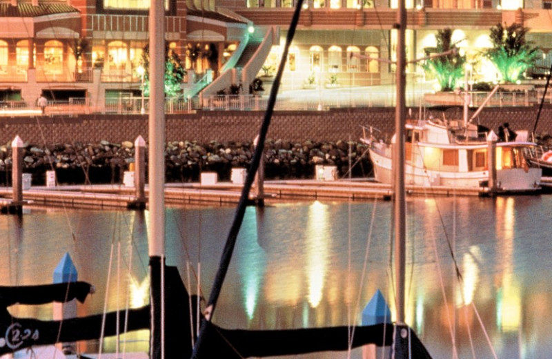 Boats by the dock at Loews Coronado Bay Resort.