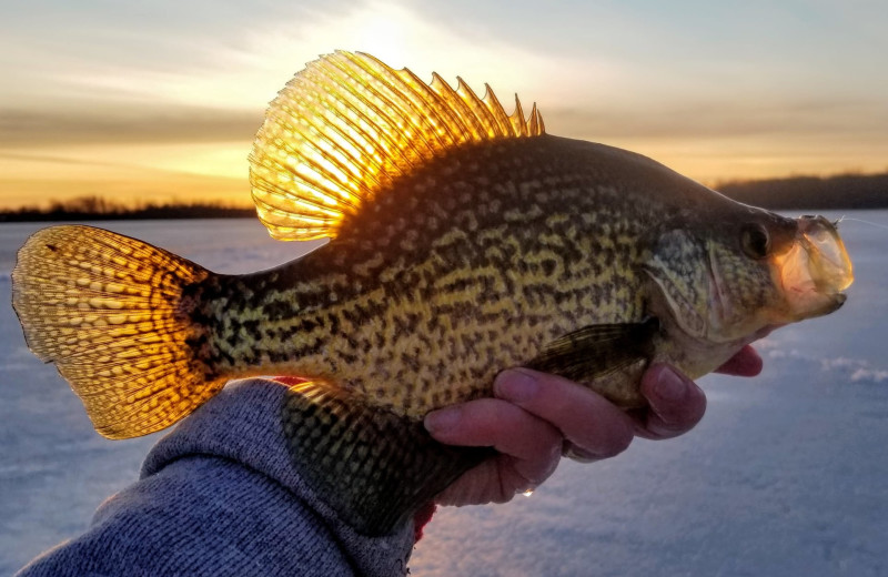 Fishing near Loon Lake Resort and Campground.