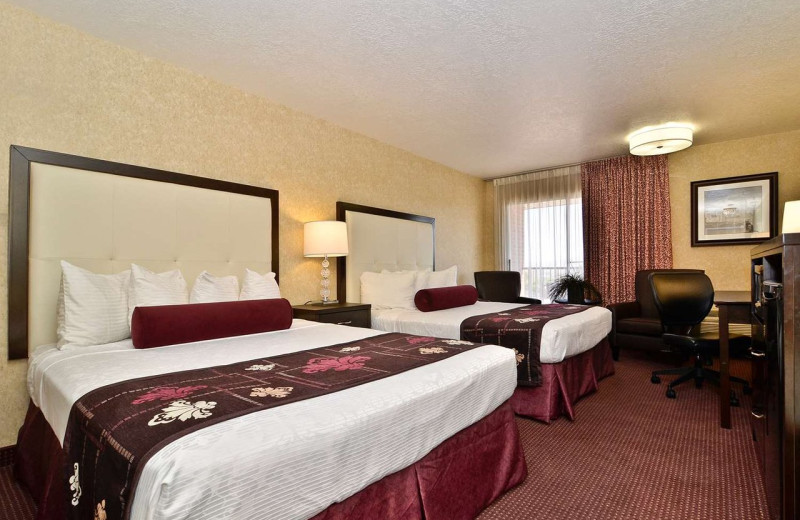 Guest room at Best Western Coral Hills.