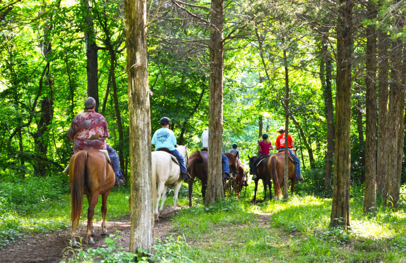 Horseback riding at YMCA Trout Lodge & Camp Lakewood.