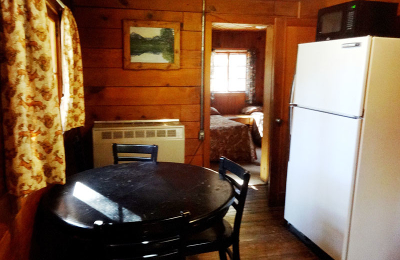 Cabin kitchen at North Shore Lodge & Resort.