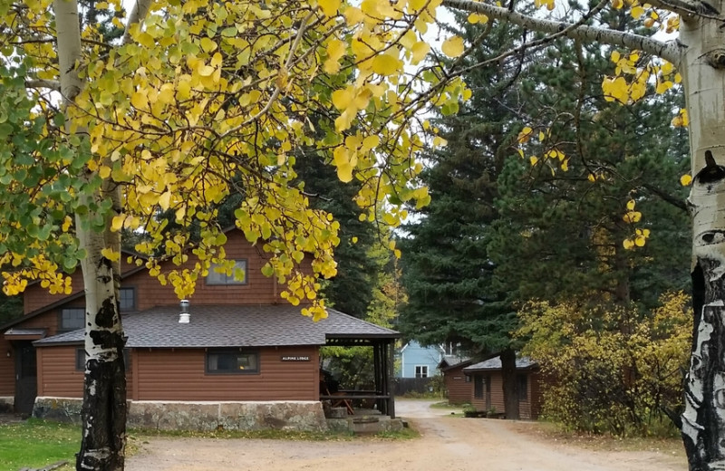 Cabin at Glacier Lodge.