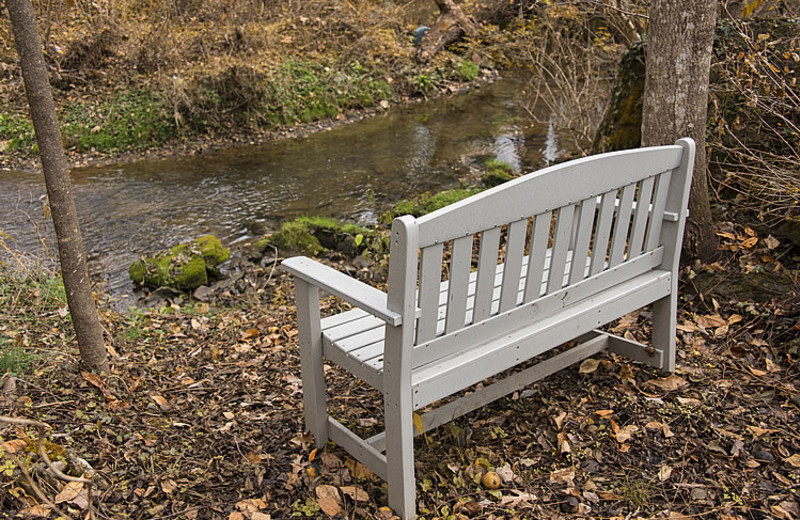 Bench at Steele's Tavern Manor B&B.