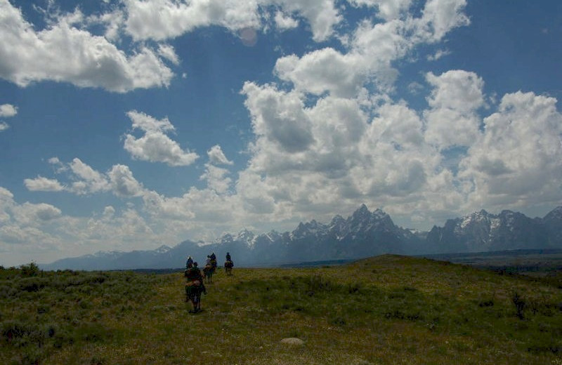 Horseback Riding at Moose Head Ranch