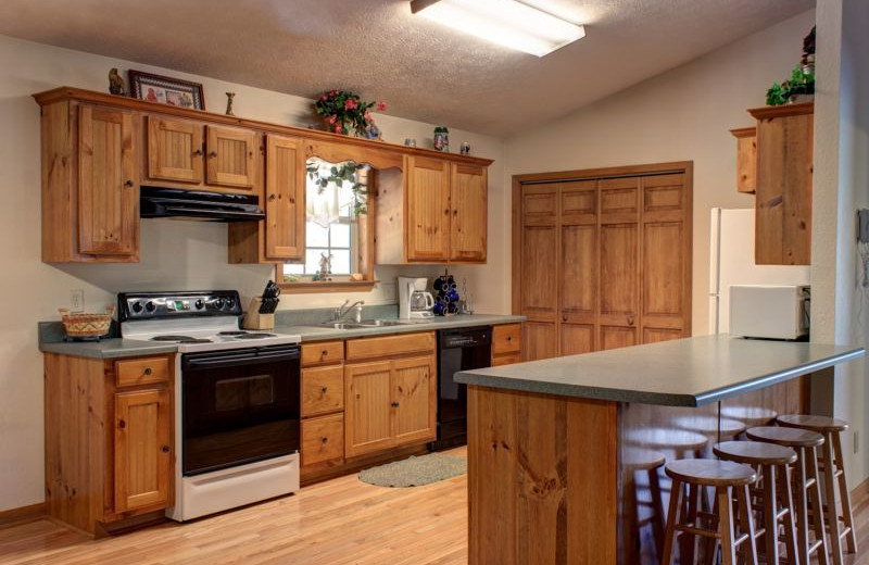 Cabin kitchen at Georgia Mountain Rentals.