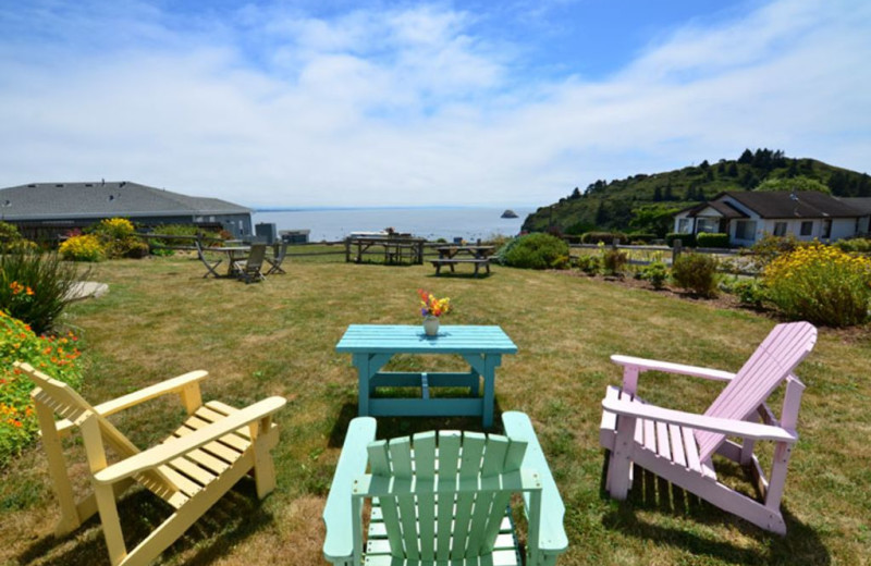 View from Buoy Bell - Above the Bay with Beach Access.