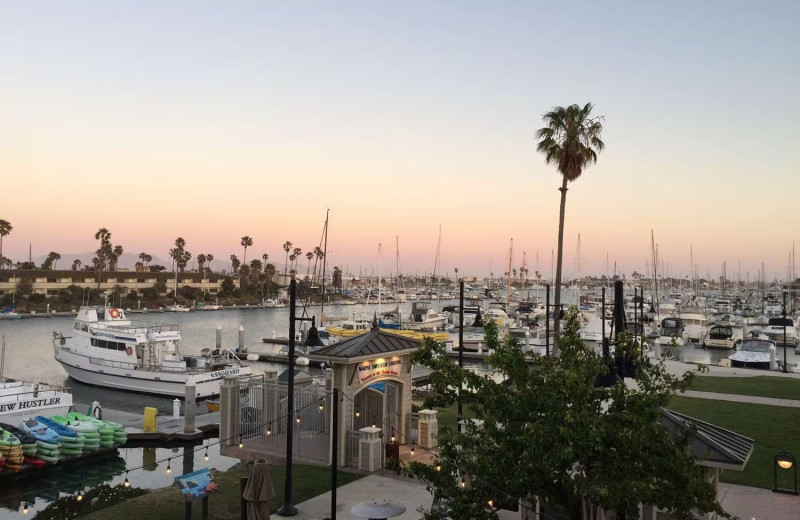 Marina near Best Western Oxnard Inn.