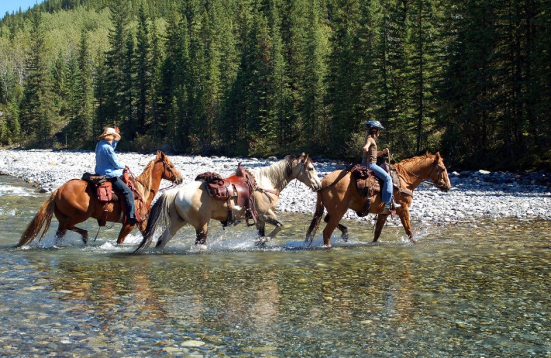 Horseback riding at SummitCove.