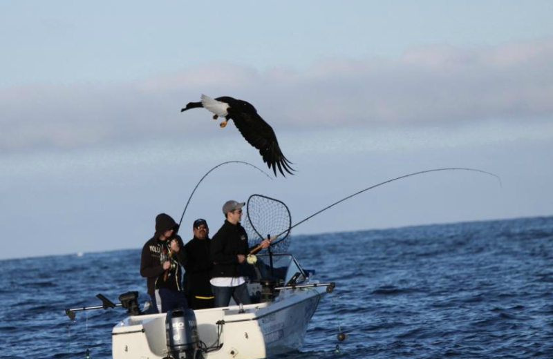 Fishing at Shearwater Resort & Marina.