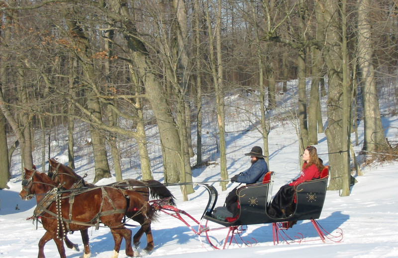 Sleigh ride at Guggisberg Swiss Inn/Amish Country Riding Stables.