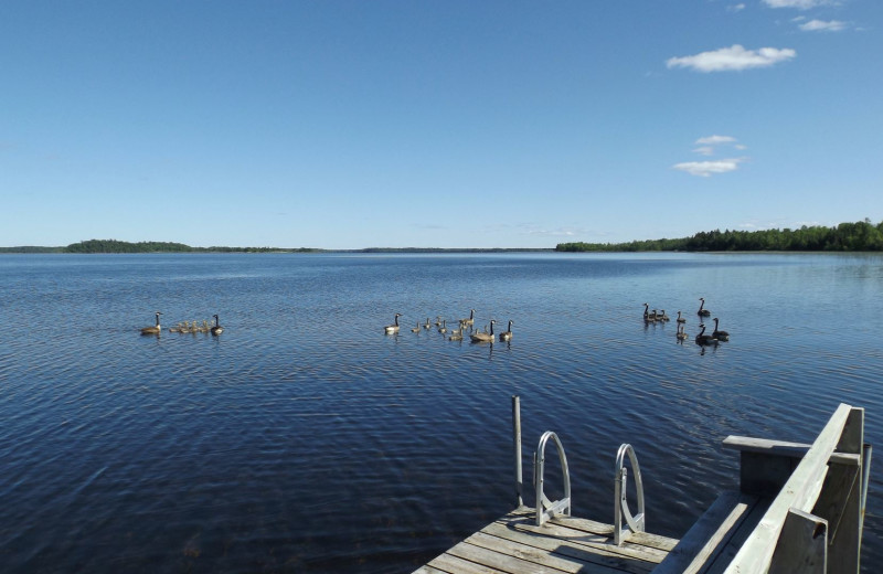 Lake view at Driftwood Resort.