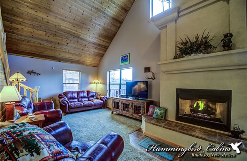 Living room with fireplace at Hummingbird Cabins - Chatty Chipmunk Vacation Rental