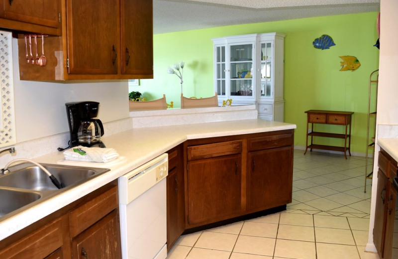 Rental kitchen at Alicia J. Hollis, Realtor.