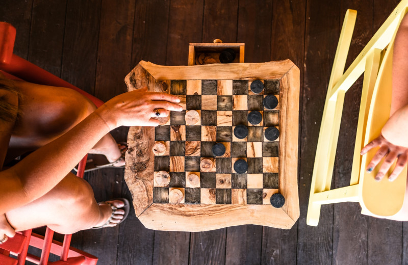 Checkers at Rawah Guest Ranch.