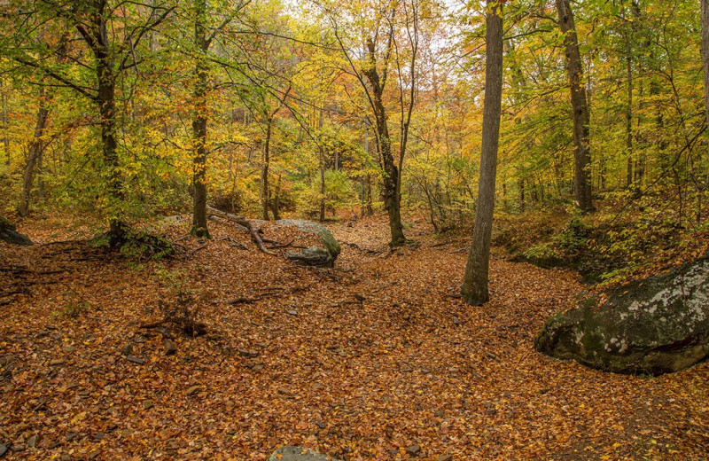 Fall at Willowbrook Cabins.