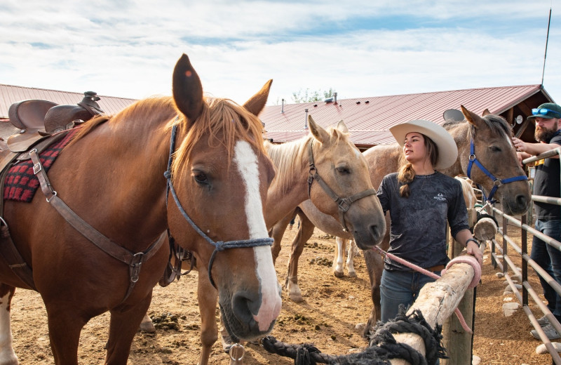 Horseback riding at Mt. Princeton Hot Springs Resort.