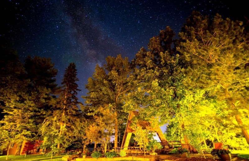 Starry sky at Kohl's Resort.