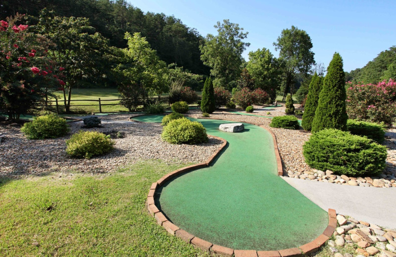 Rental mini golf at Eden Crest Vacation Rentals, Inc.