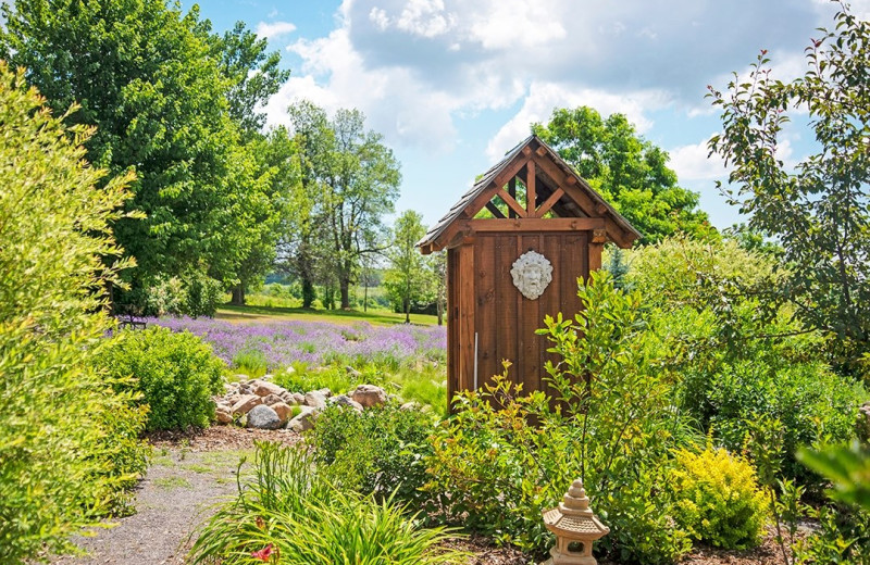 Garden at Ste. Anne's Spa.
