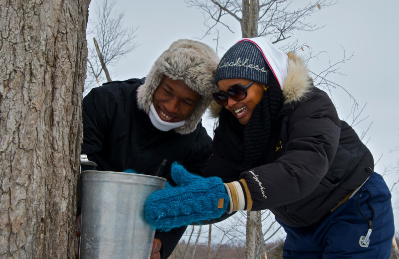 Collecting maple syrup at JW Marriott The Rosseau Muskoka Resort & Spa.