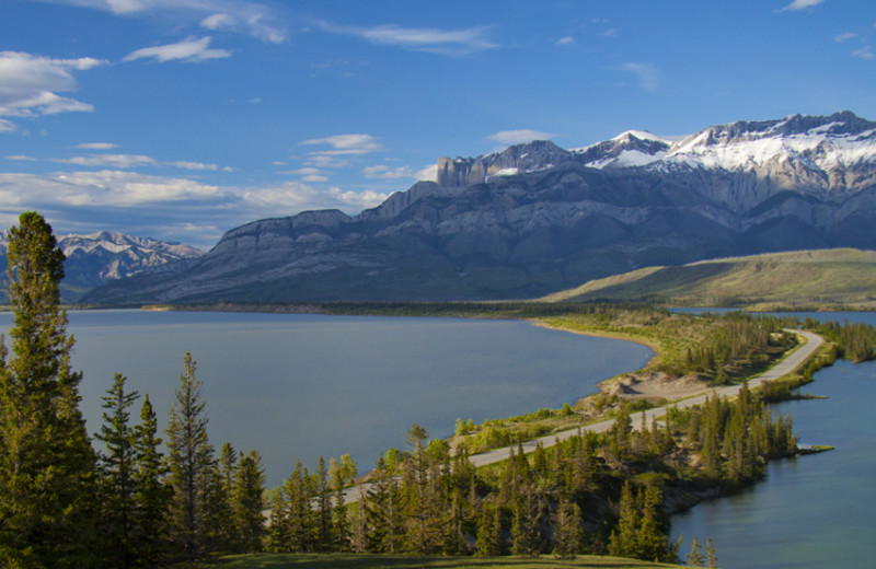 Drive at Overlander Mountain Lodge.