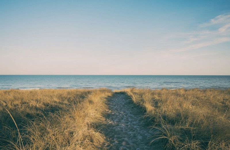 Beach at Hodnett Cooper.