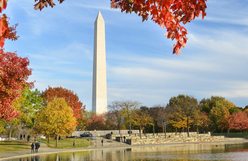 Washington monument at American Guest House.