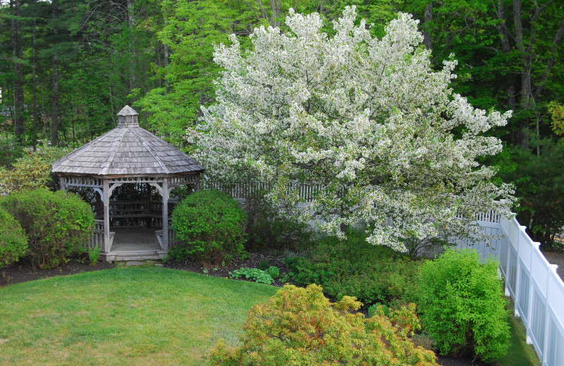 Garden at Cod Cove Inn.