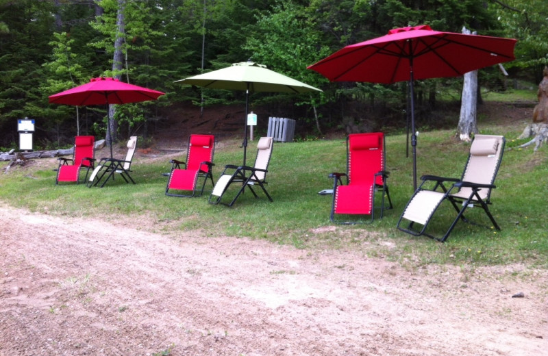 Timber Wolf Lodge (Ely, MN) Resort Reviews