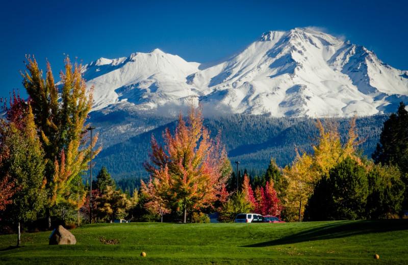 Golf at Mount Shasta Resort.