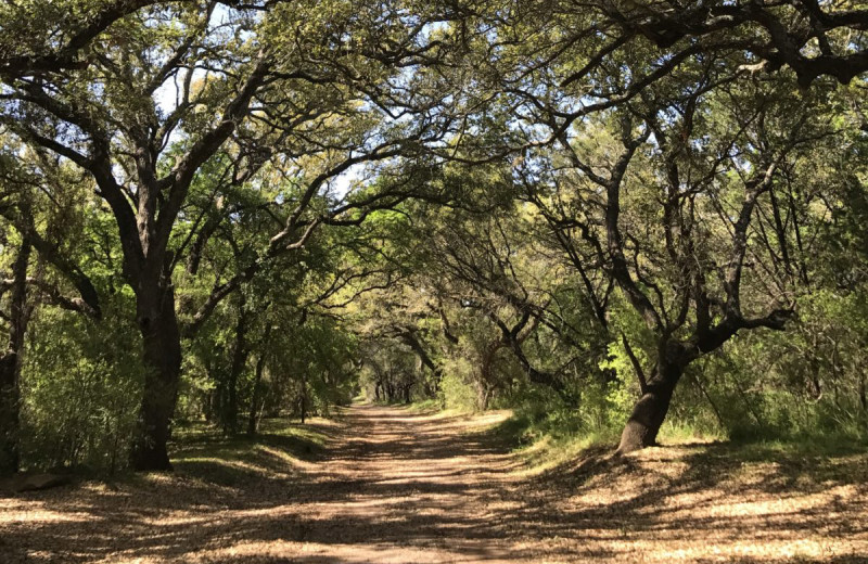 Hiking trail at Canyon of the Eagles Nature Park & Resort.