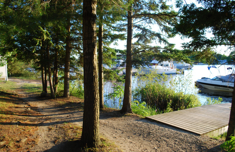 Scenic view at Halls Cottages.