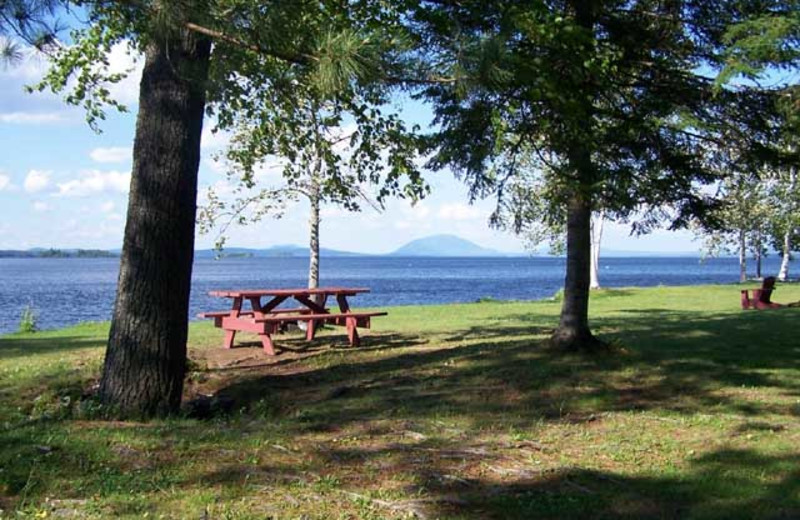 Cabin lake view at Wilsons On Moosehead Lake.