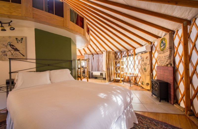 Yurt bed at Strawhouse Resorts.