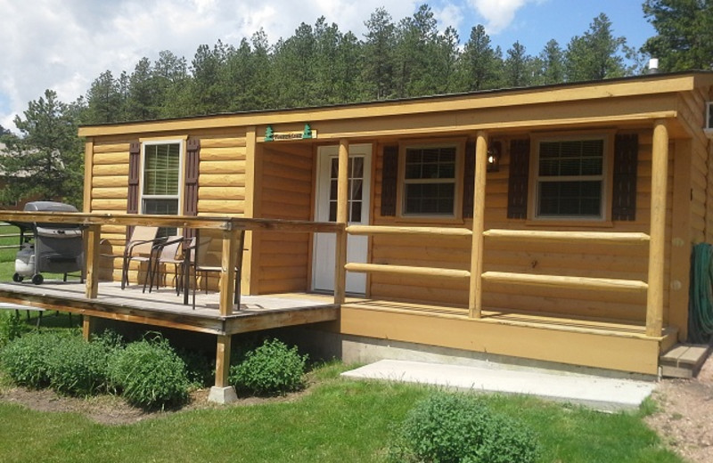 Cabin exterior at American Pines Cabins.