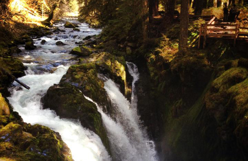 Waterfall at Sol Duc Hot Springs Resort.