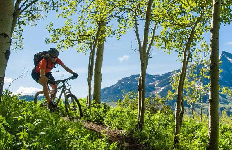 Biking at Alpine Getaways.