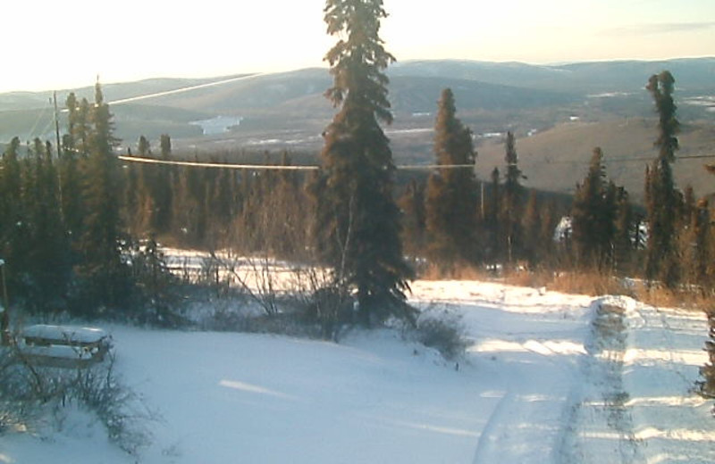 Grounds at Trailhead Cabins.