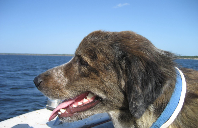 Boating at Cliffview Resort.