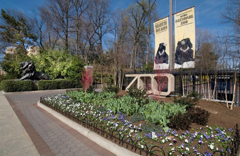 National Zoo near Virginian Suites Arlington.