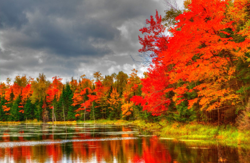 Fall at Whitetail Lodge.